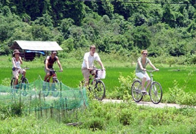 Тур «один день крестьянином» в овощной деревне Чакуэ - ảnh 4